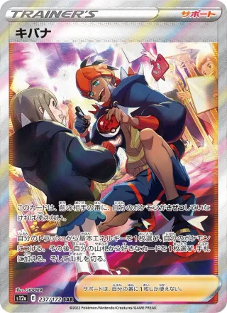 Raihan #237 · S12a: VSTAR Universe Pokémon Japan card