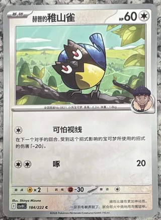 Hop's Rookidee (赫普的稚山雀) #184 · CSV10C (共逐荣光) Pokémon Chinese card