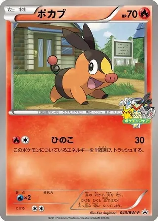 Tepig #043 · BW-P Promotional cards Pokémon Japan card