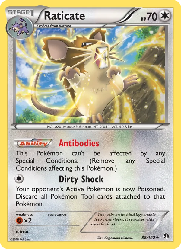 Raticate full card art