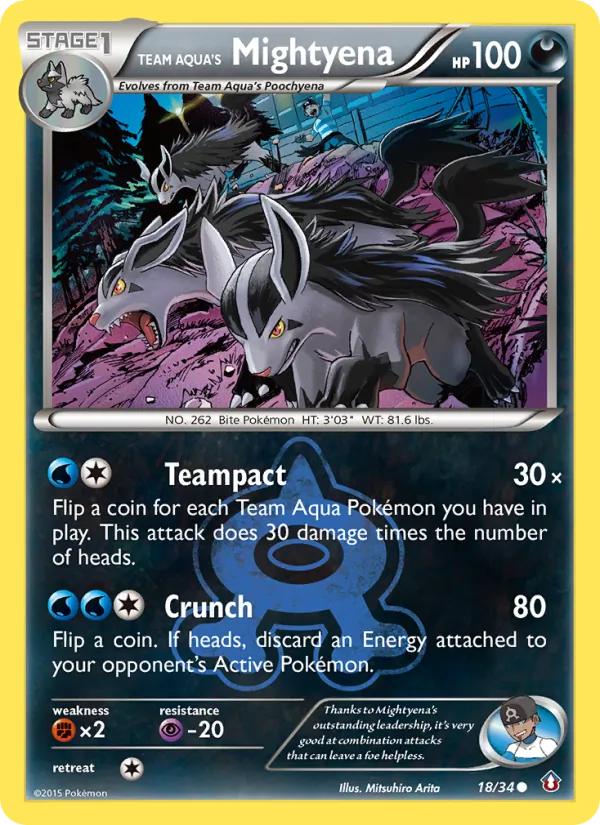Team Aqua's Mightyena full card art