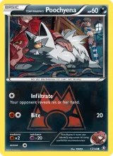 Team Magma's Poochyena · Double Crisis Pokémon card