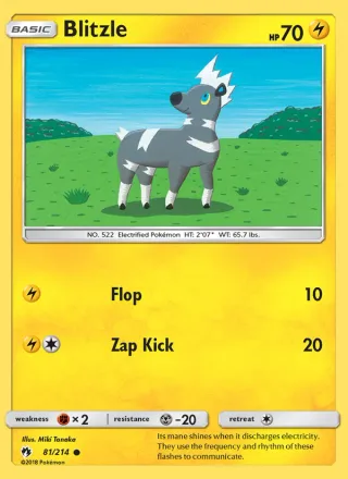 Blitzle #81 · Lost Thunder Pokémon card