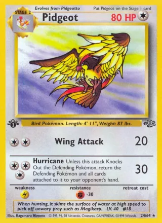 Pidgeot #24 · Jungle Pokémon card
