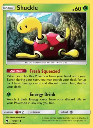 Shuckle #16 · Lost Thunder Pokémon card
