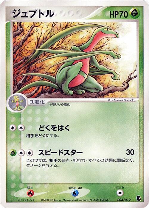 Grovyle full card art