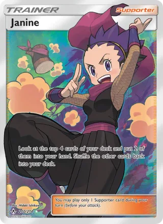 Janine #210 · Unbroken Bonds Pokémon card