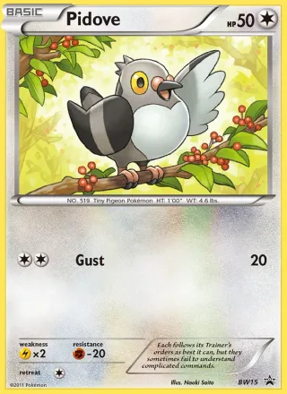 Pidove #BW15 · BW Black Star Promos Pokémon card