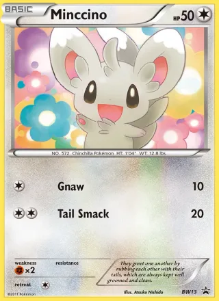Minccino #BW13 · BW Black Star Promos Pokémon card