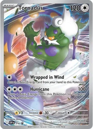Tornadus #210 · SVP Black Star Promos Pokémon card