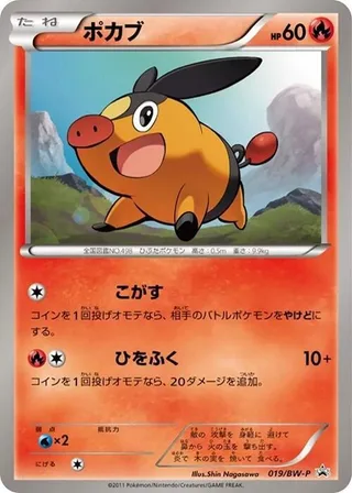 Tepig #019 · BW-P Promotional cards Pokémon Japan card