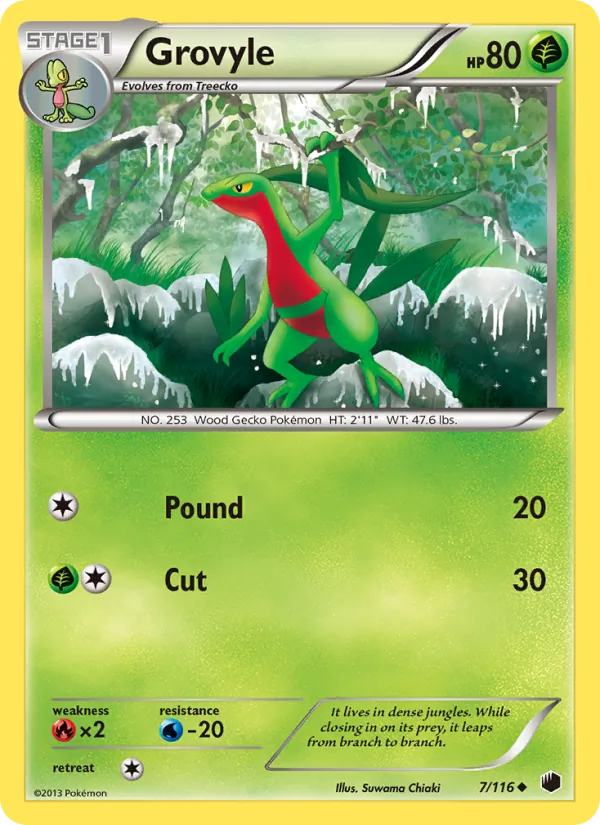 Grovyle full card art