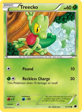 Treecko #6 · Plasma Freeze Pokémon card