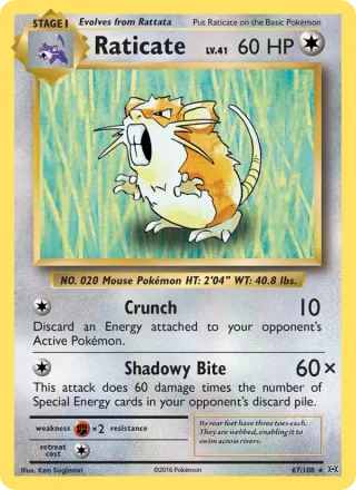 Raticate #67 · Evolutions Pokémon card