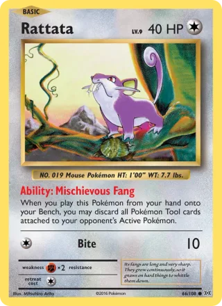 Rattata #66 · Evolutions Pokémon card