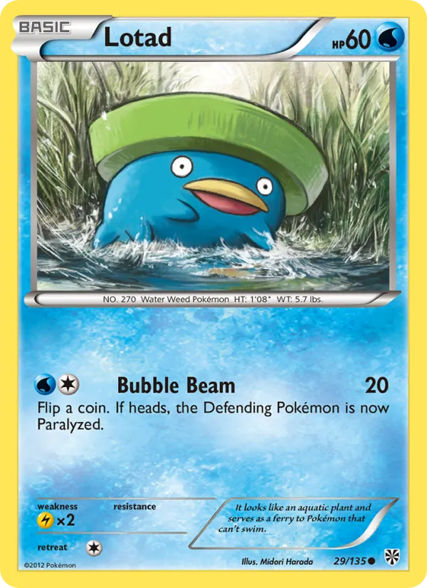 Lotad full card art