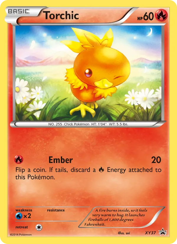 Torchic full card art