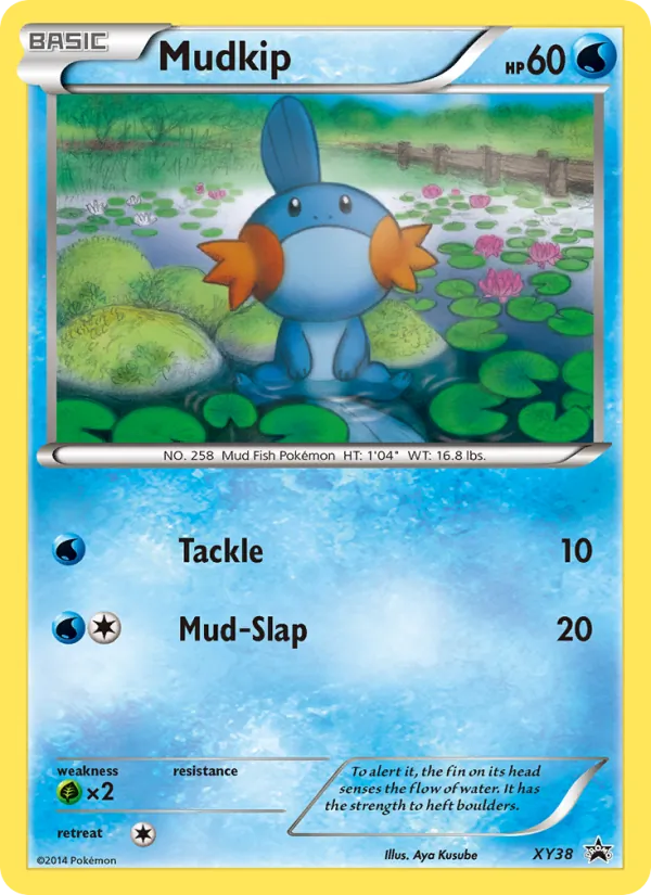 Mudkip full card art