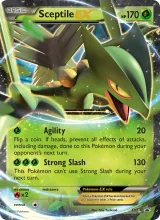 Sceptile EX · XY Black Star Promos Pokémon card