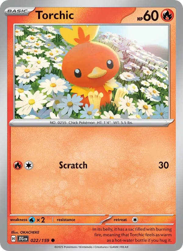 Torchic full card art