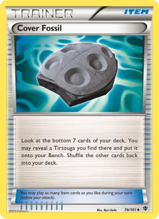 Cover Fossil card