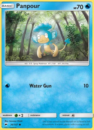 Panpour #36 · Burning Shadows Pokémon card