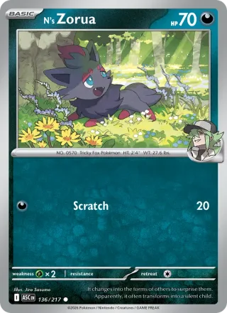 N's Zorua #136 · Ascended Heroes Pokémon card