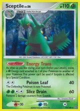 Sceptile · Stormfront Pokémon card