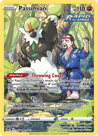 Passimian #TG08 · Silver Tempest Trainer Gallery Pokémon card