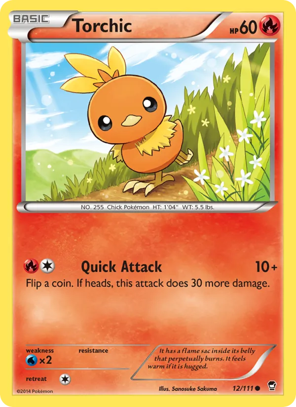 Torchic full card art