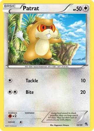 Patrat #12 · BW trainer Kit (Zoroark) Pokémon card