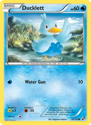 Ducklett #36 · Black & White Pokémon card