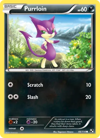 Purrloin #66 · Black & White Pokémon card