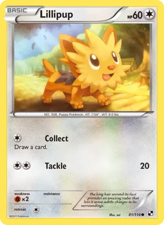 Lillipup #81 · Black & White Pokémon card