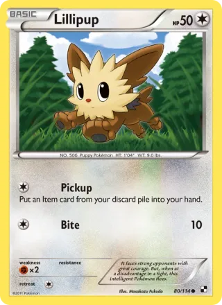 Lillipup #80 · Black & White Pokémon card