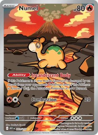 Numel #223 · Ascended Heroes Pokémon card