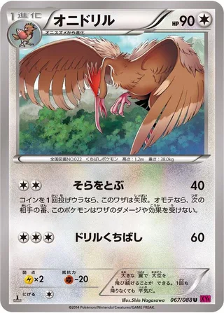 Fearow #067 · XY4: Phantom Gate Pokémon Japan card