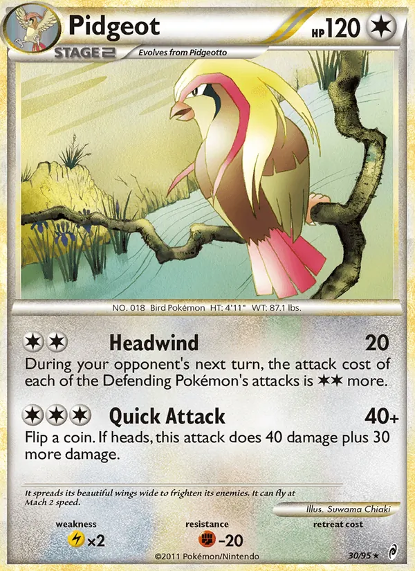 Pidgeot full card art