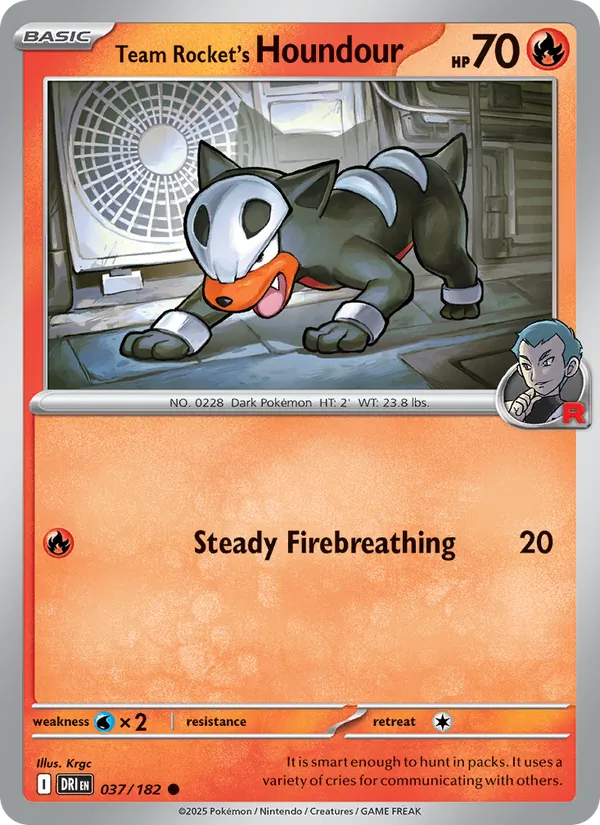 Team Rocket's Houndour full card art