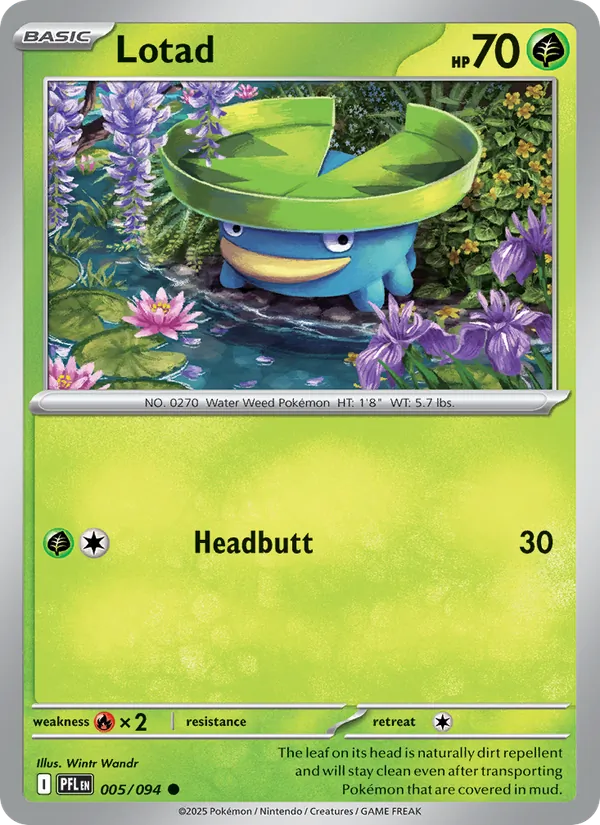 Lotad full card art