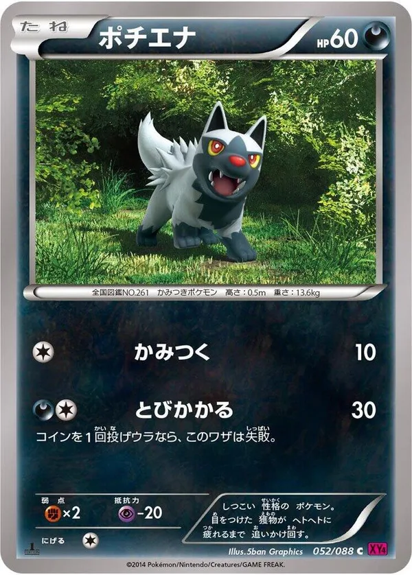 Poochyena full card art