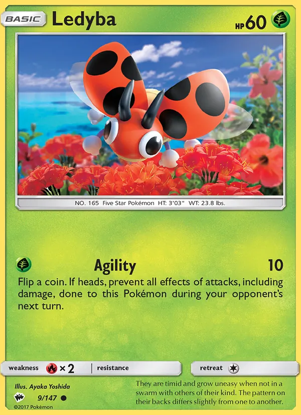 Ledyba full card art