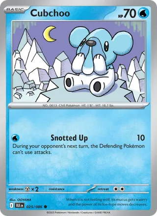 Cubchoo #025 · Black Bolt Pokémon card