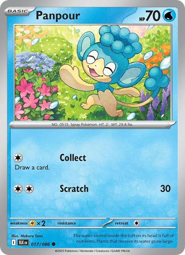 Panpour full card art