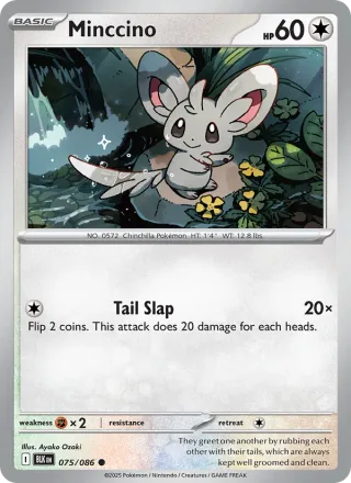 Minccino #075 · Black Bolt Pokémon card