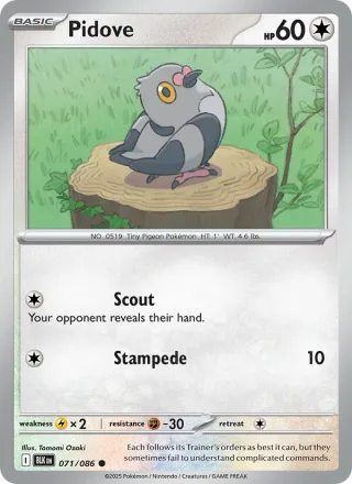 Pidove #071 · Black Bolt Pokémon card
