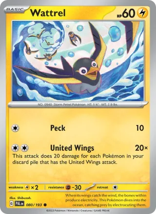 Wattrel #080 · Paldea Evolved Pokémon card