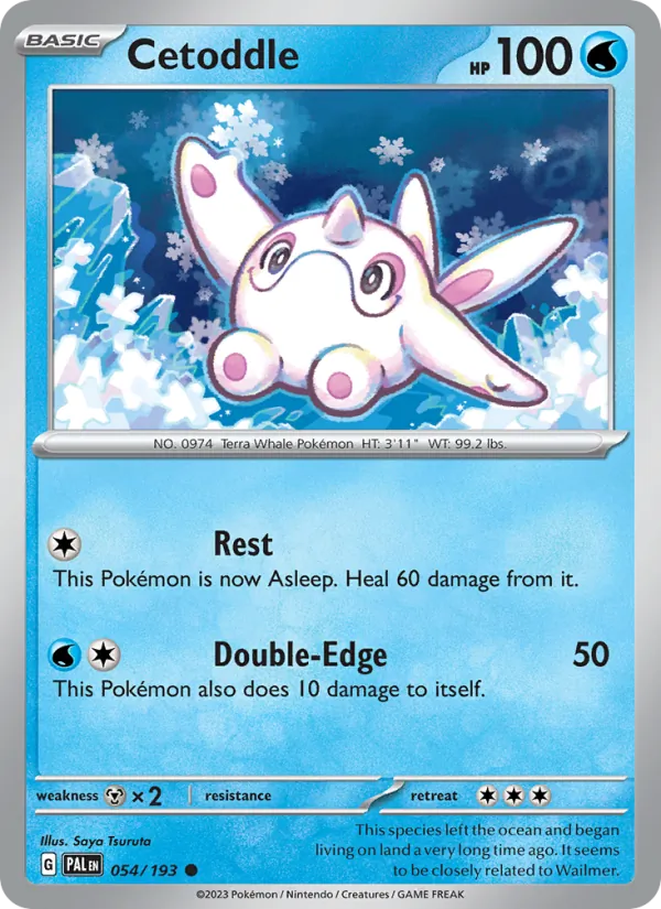Cetoddle full card art
