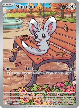 Minccino #152 · Black Bolt Pokémon card