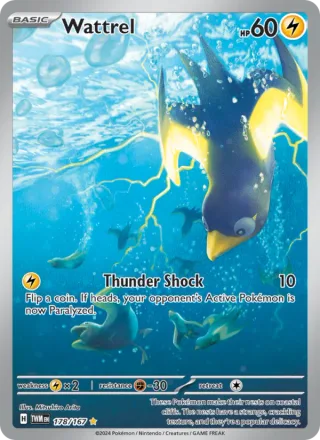 Wattrel #178 · Twilight Masquerade Pokémon card